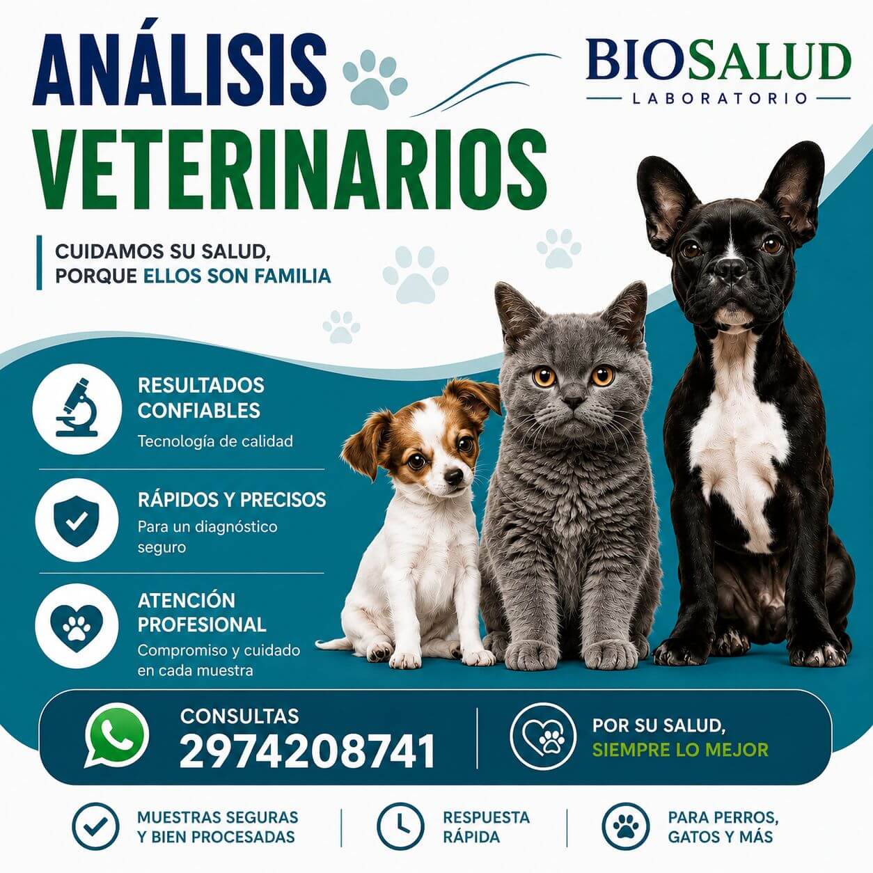Banner Biosalud 10